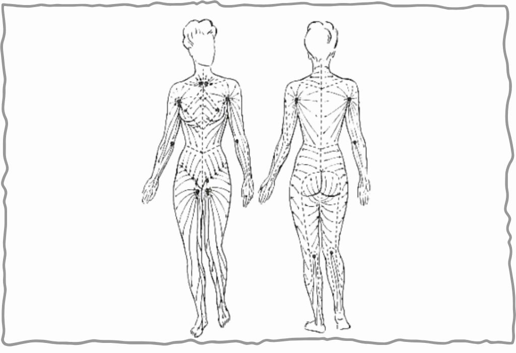 blog limfni sistem - Tanja Kašlik Taisha