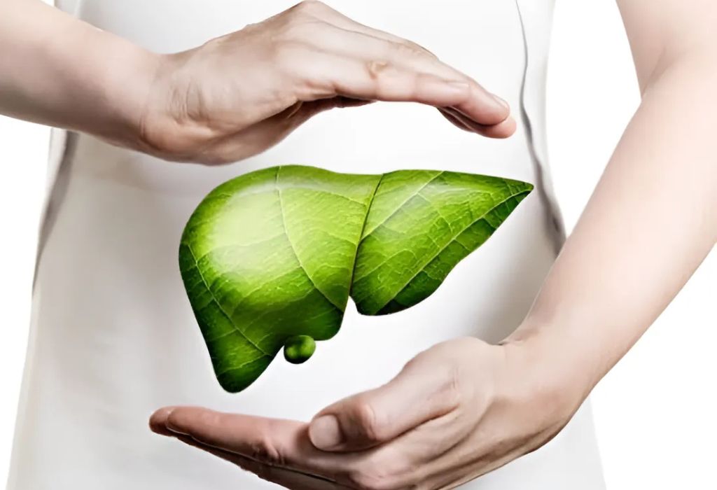 blog - slika 1 - jetra in limfni sistem - Tanja Kašlik Taisha