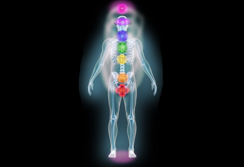 blog-slika-1-Zablode-in-zmote-alternativne-medicine-Tanja-Kaslik-Taisha