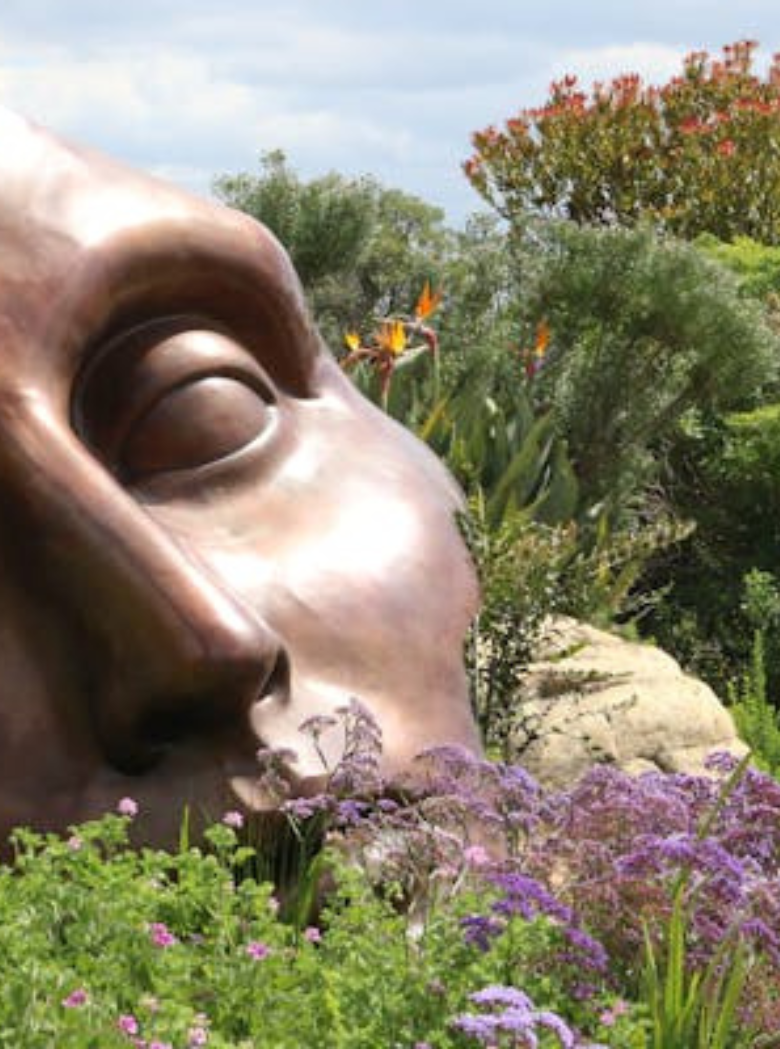 vizualna diagnostika